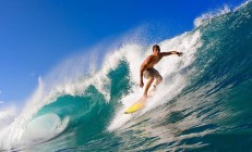 九游娱乐官方-紫金风暴席卷东北，湖人跨洋制霸，辽宁抢七梦碎