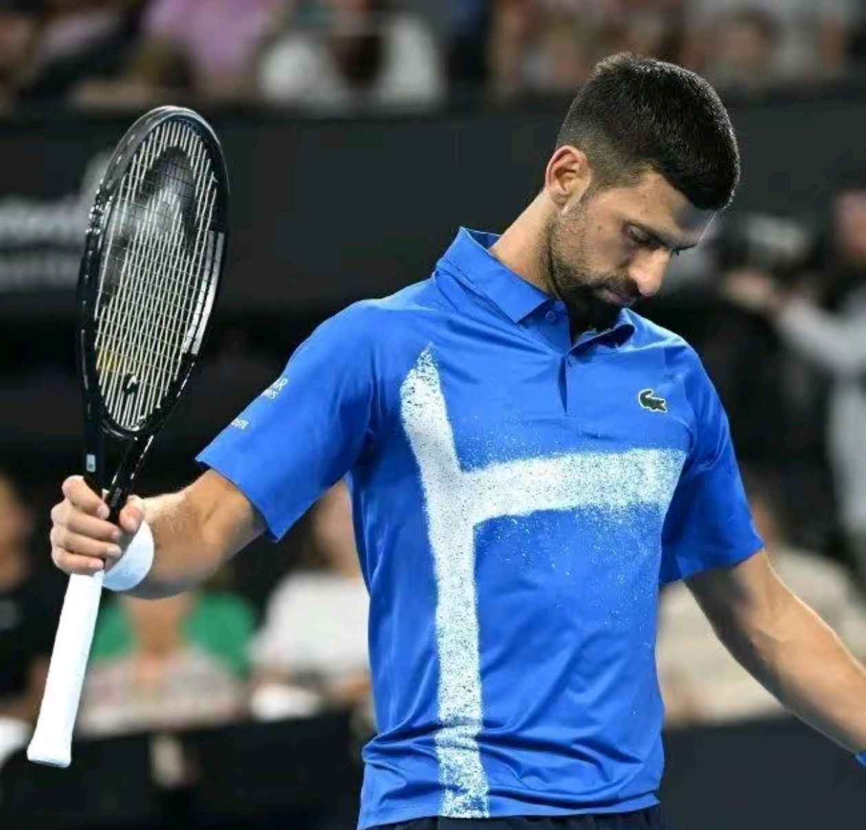 世界网球队绝杀美国网球队，德约科维奇爆发神勇的简单介绍