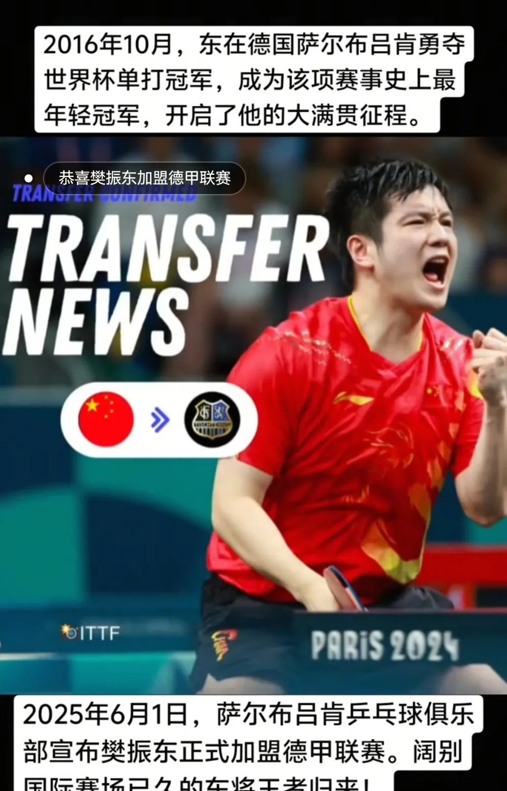 韩国乒乓球队血洗波兰乒乓球队,樊振东制霸全场的简单介绍 韩国乒乓球队血洗波兰乒乓球队,樊振东制霸全场的简单介绍