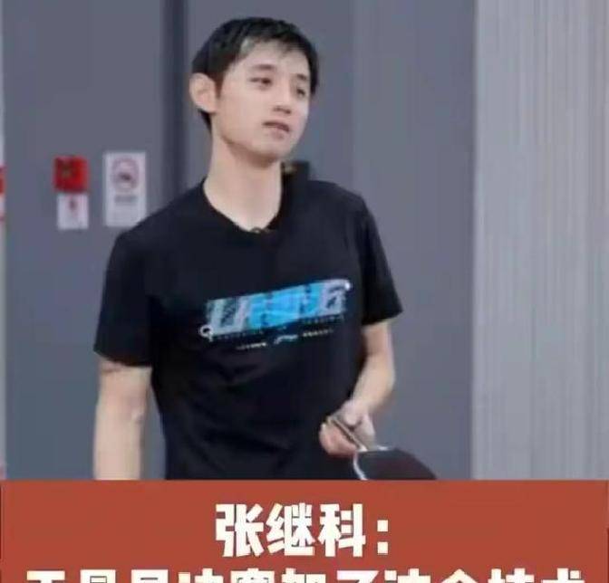 中国乒乓球队逆转瑞典乒乓球队,张继科绝境逆转的简单介绍 中国乒乓球队逆转瑞典乒乓球队,张继科绝境逆转的简单介绍